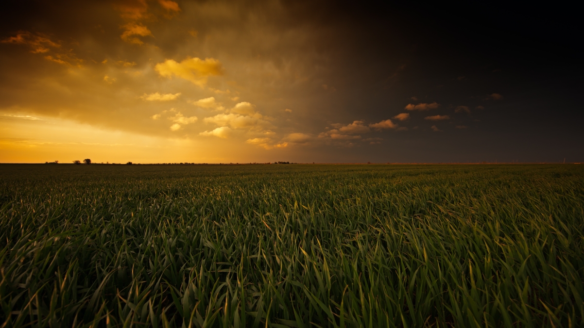 Sunset plain 4k landscape wallpaper
