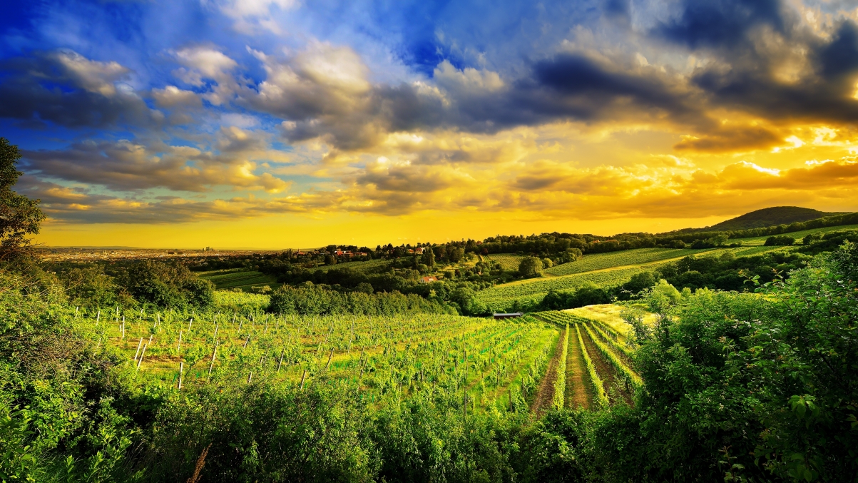 Beautiful Pastoral Scenery 5K Wallpaper