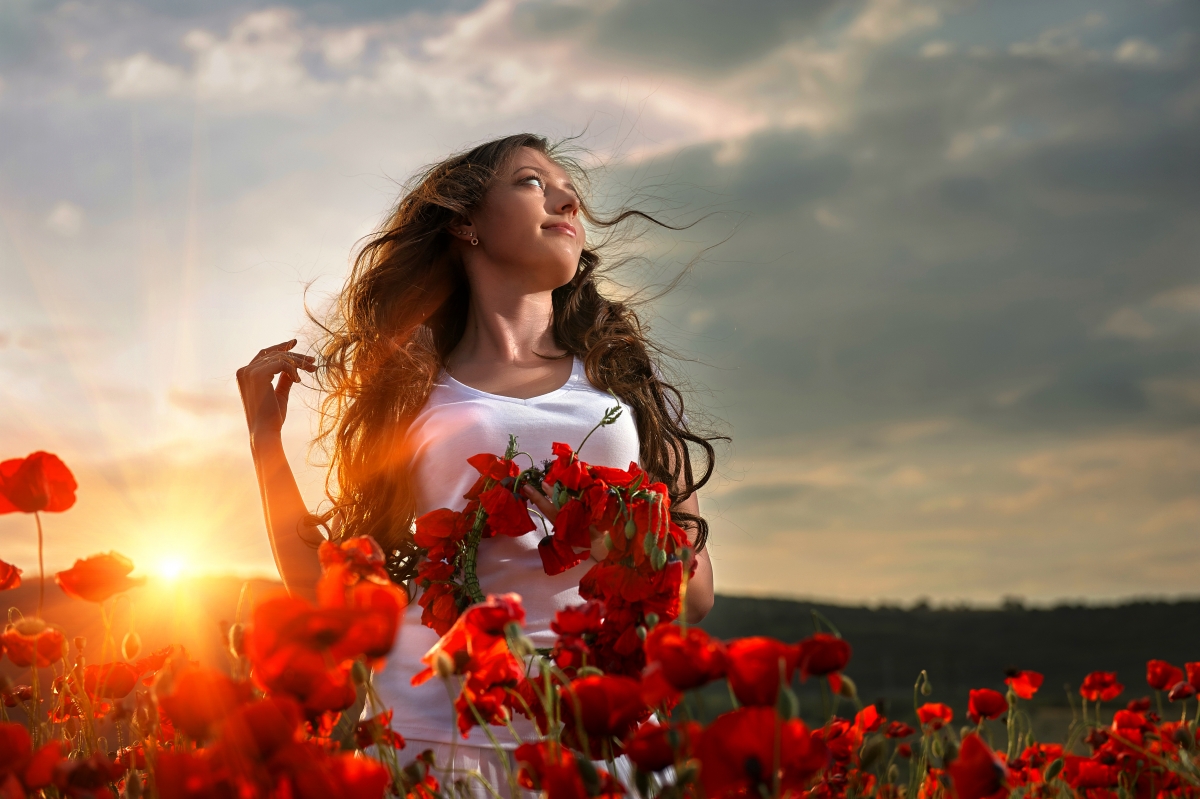 Woman, flower field, sunset, mood, 4K