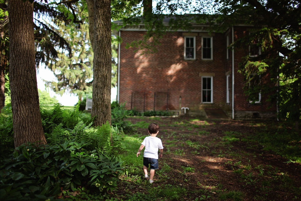 Little boy, brick wall, house, leaves