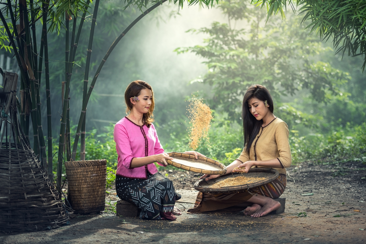 Countryside, bamboo forest, countryside, women, bamboo