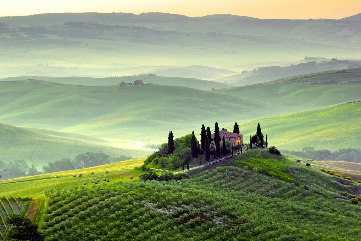 Morning dawn, fog, Tuscany, green
