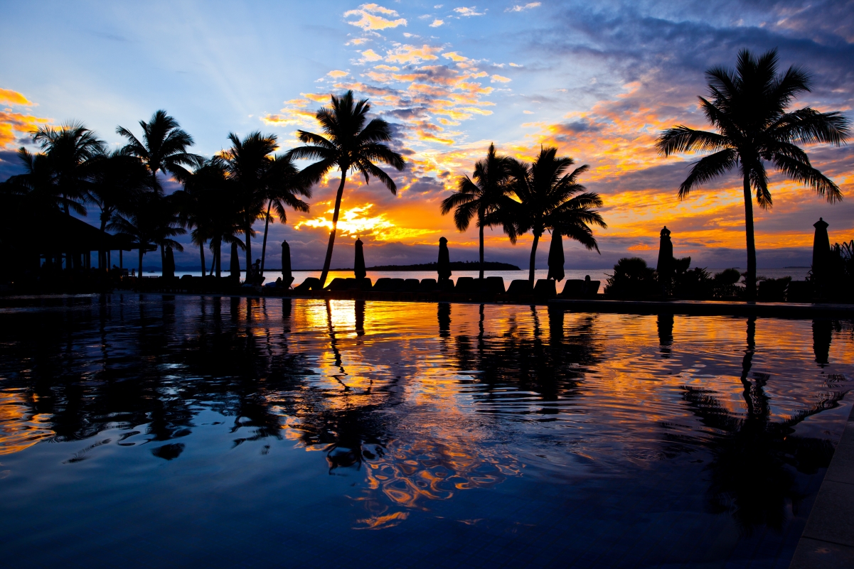 Swimming pool water palm trees 4K landscape
