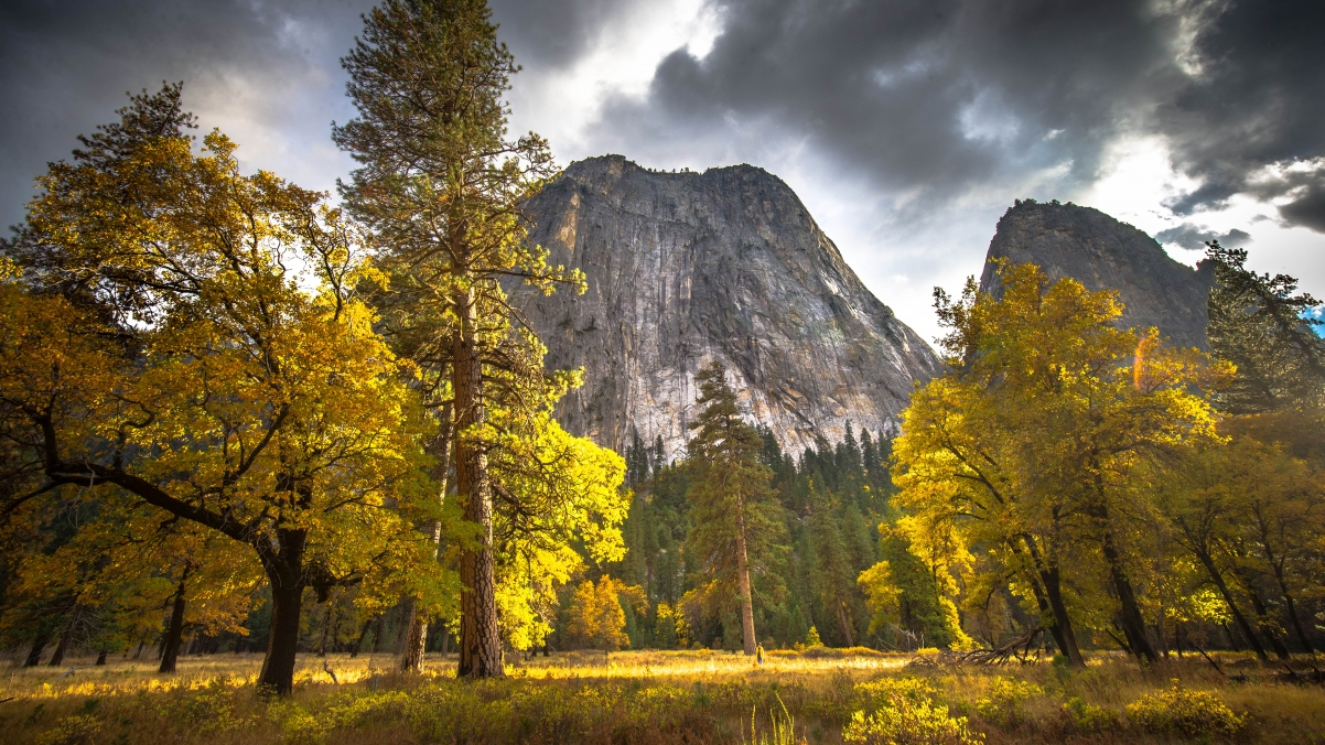 Yosemite National Park Autumn Wind