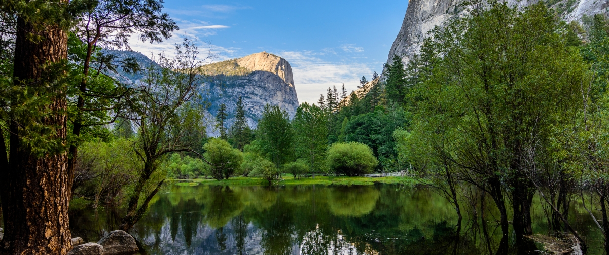 Mirror Lake, Yosemite National Park 34
