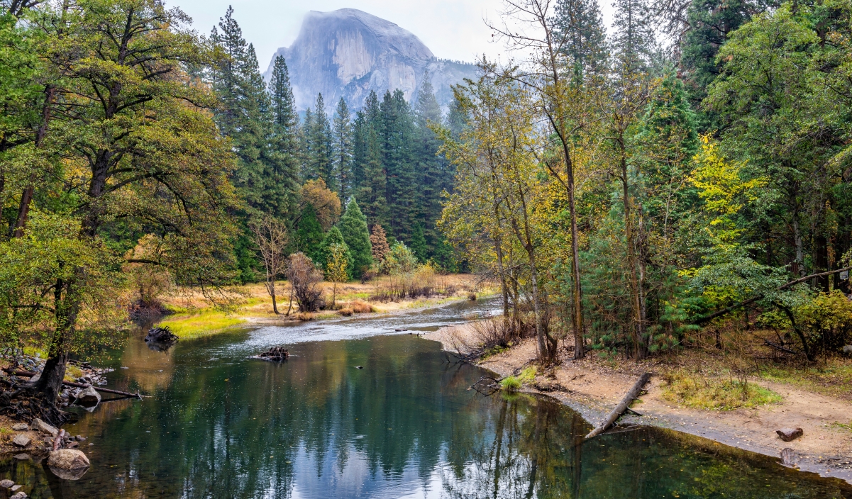 Yosemite National Park 4K Wind