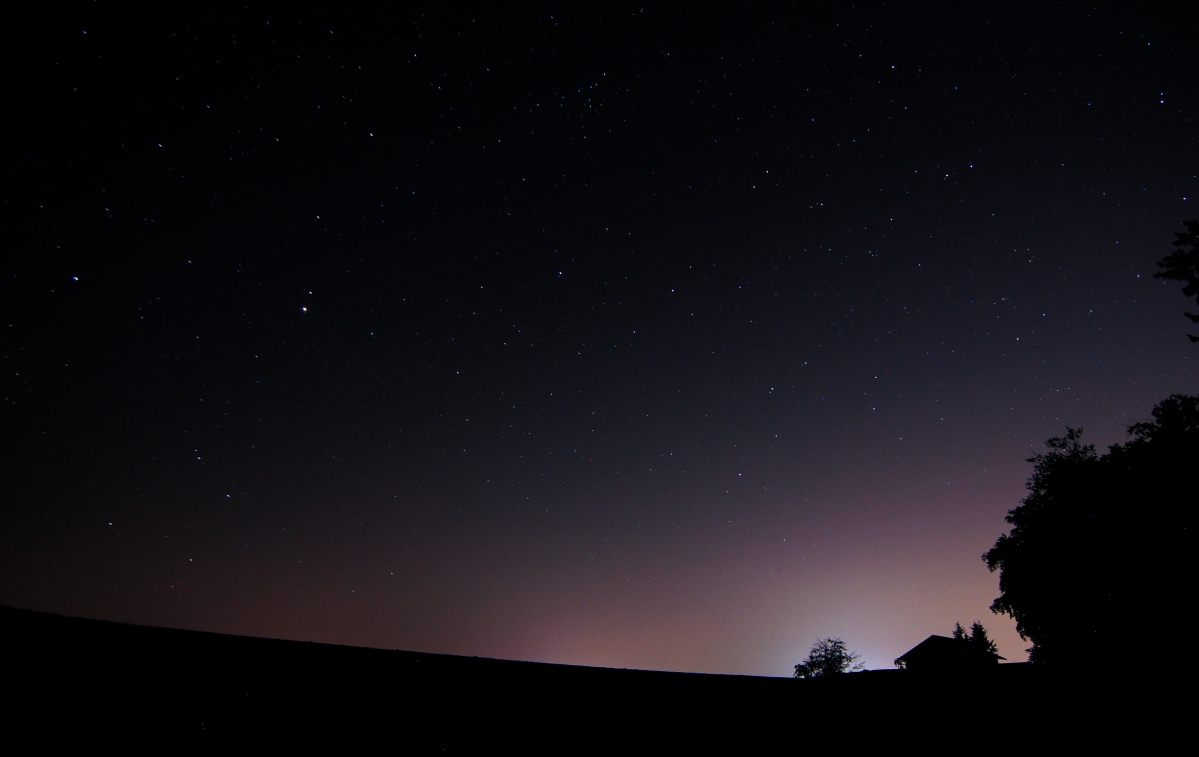 Night forest night sky starry sky