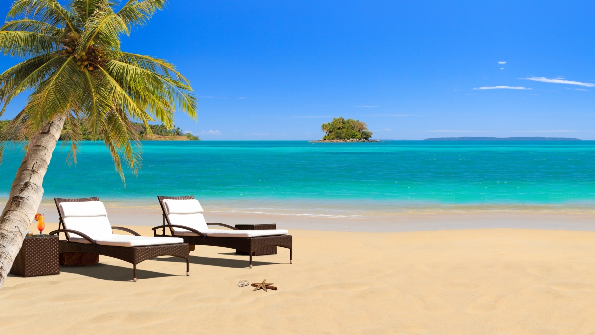 Coconut tree lying on tropical sea beach