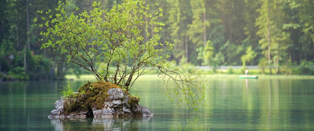 Rock island tree forest lake scenery 34