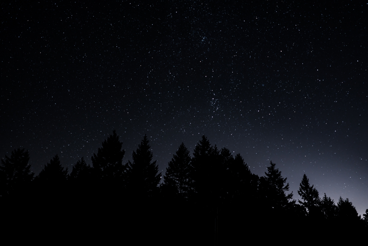 Starry sky, trees, night scenery 8k wall
