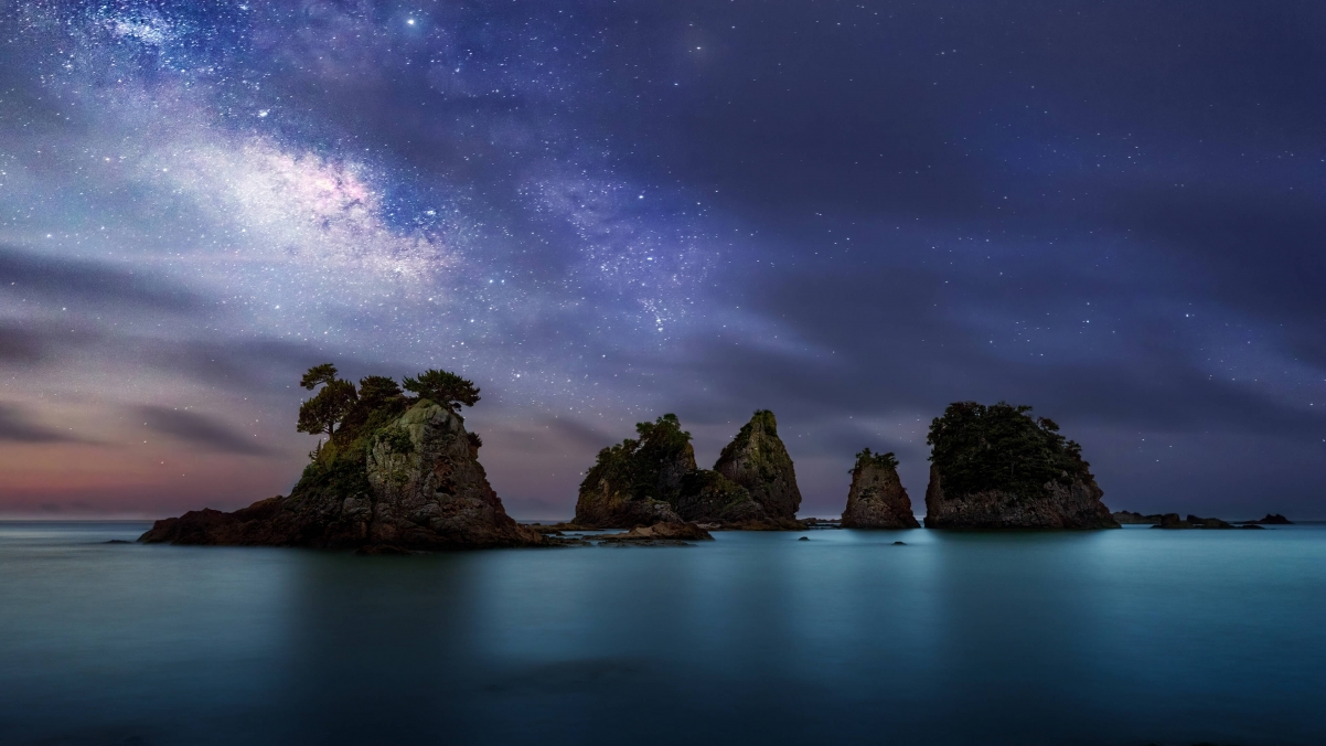Starry sky sea stone tree 4k landscape