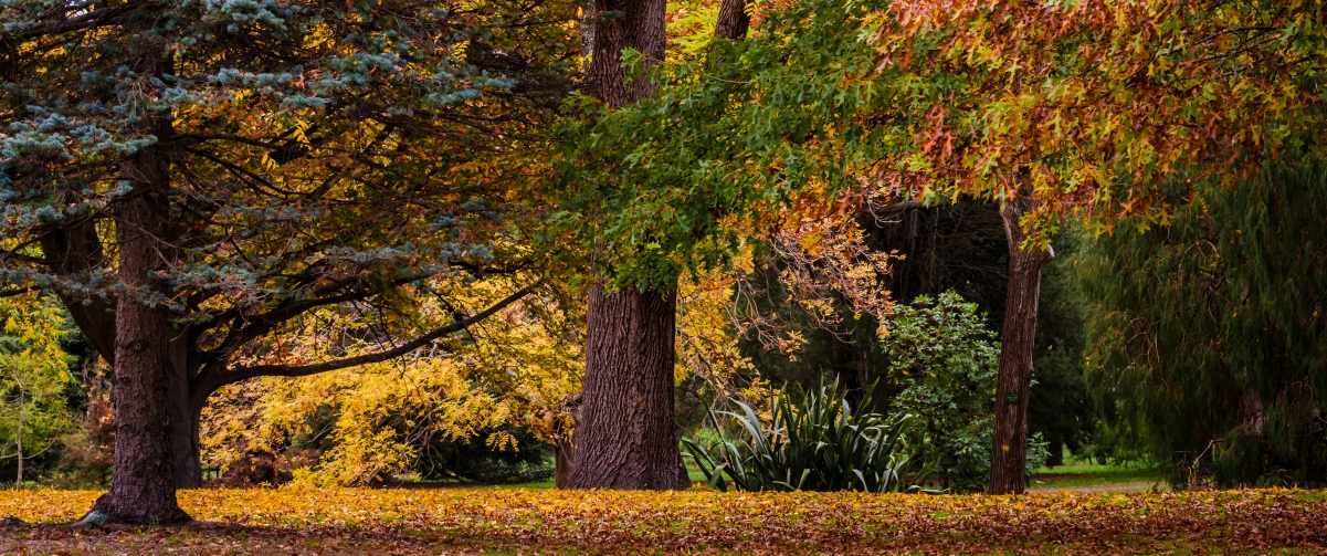 New Zealand autumn landscape 3440x144