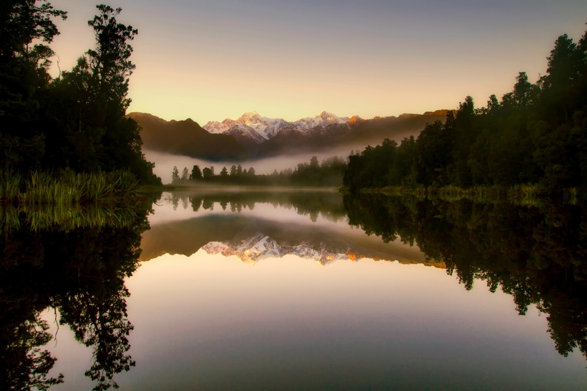 New Zealand sunrise fog morning forest