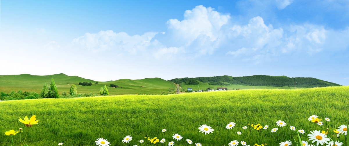Small fresh blue sky and white clouds green grass 34
