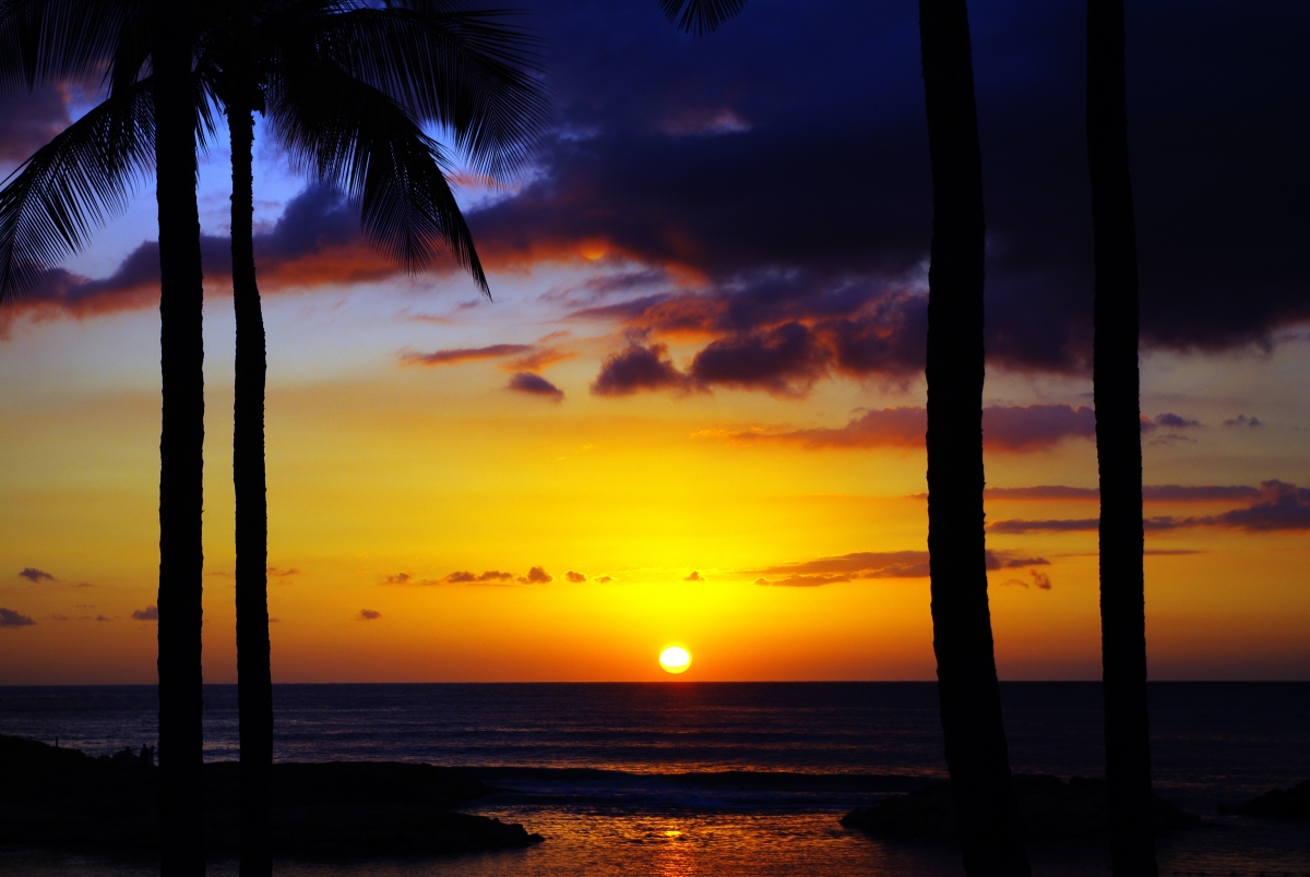 Hawaii sunset seaside scenery 4k