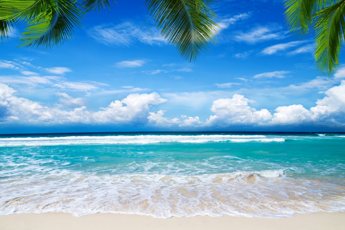 Summer beach seaside scenery 4K wallpaper