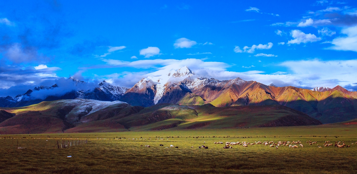 Tibet Yangbajing Scenery Picture