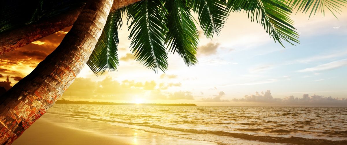 Sunset beach coconut tree landscape 3440x1