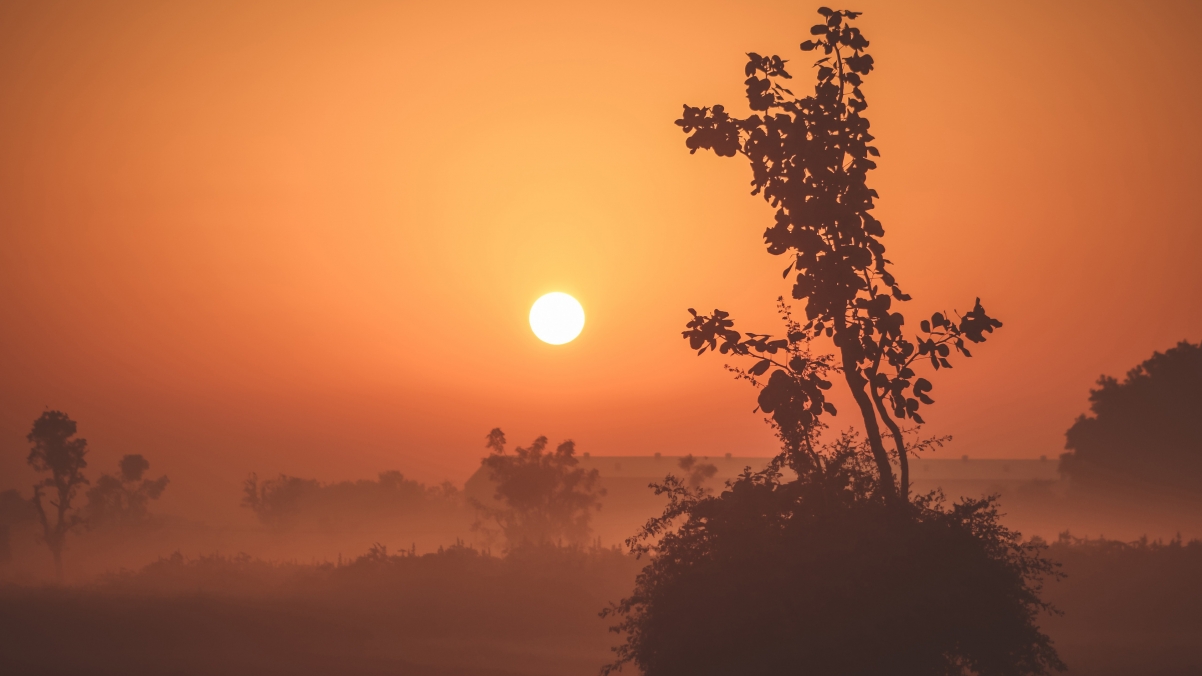 Foggy sunrise 4k landscape wallpaper
