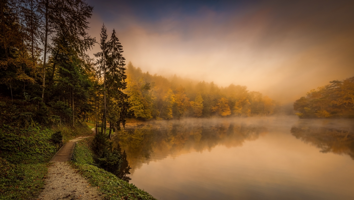 Fog, autumn, river, landscape 4K wallpaper