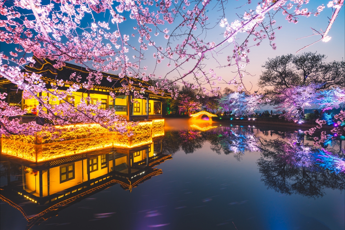 Wuxi Yuantouzhu Cherry Blossom HD Scenery