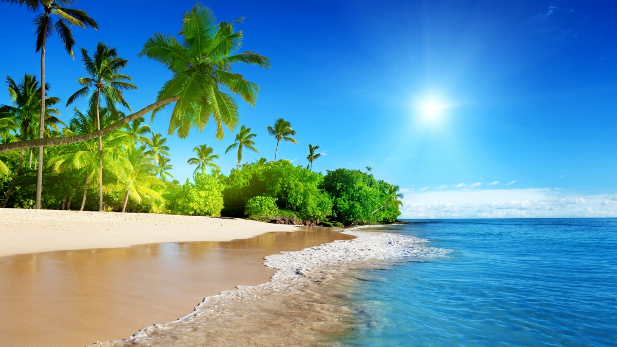Blue sea, sky, coconut tree, sea
