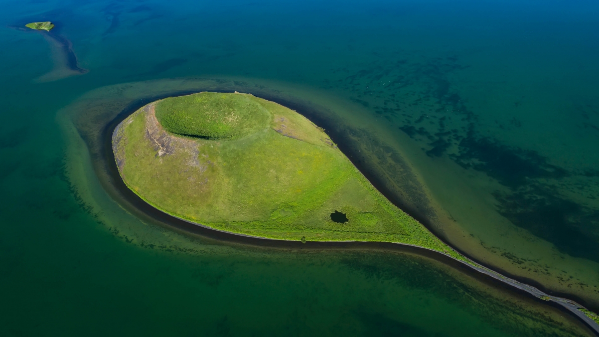 Microsoft windows 10 coastal bird