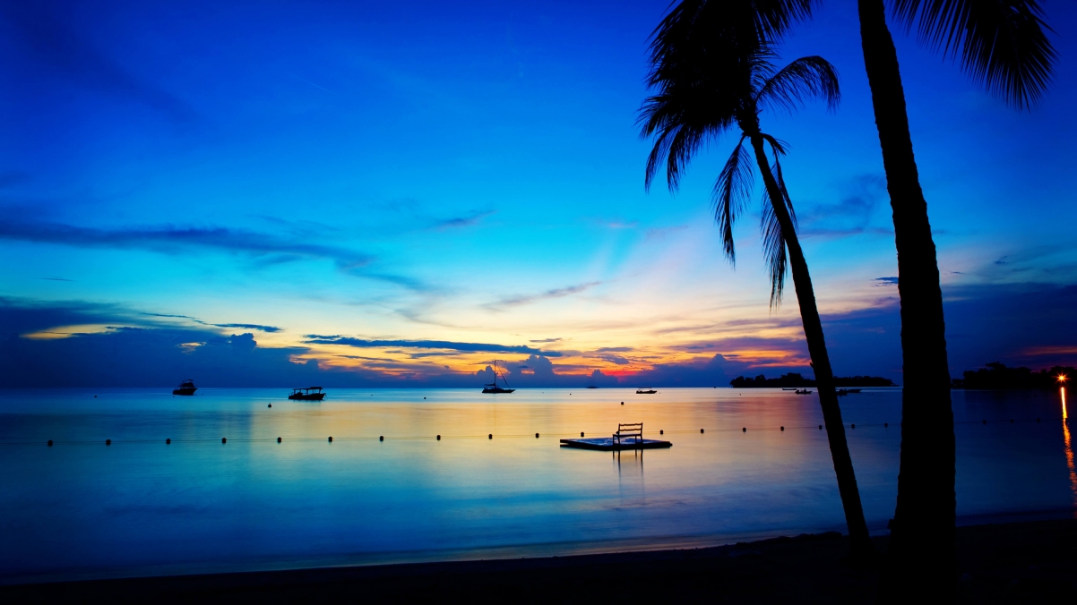 Microsoft Win10 Summer Theme Beach Day