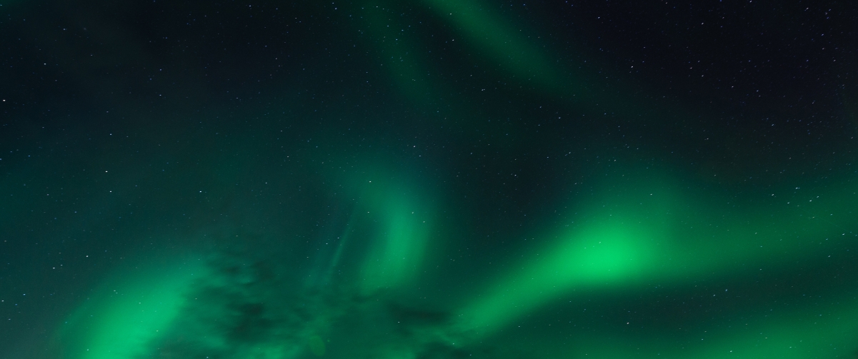 Astronomical starry sky 3440x1440 with fish