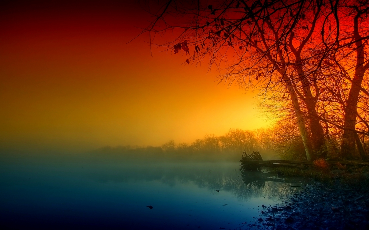 Sky trees nature river autumn