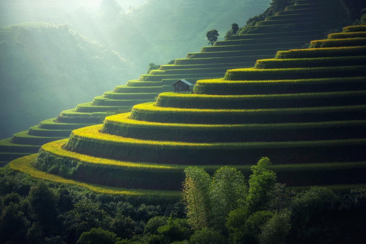 Terraced Rice Landscape 4K Wallpaper