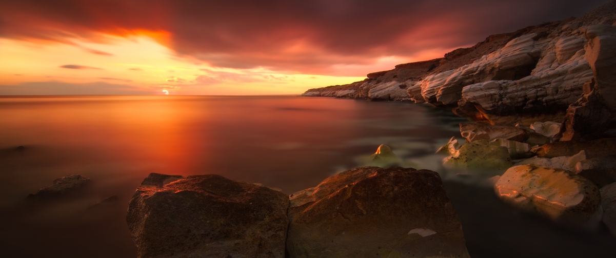 Produce beautiful light when the sun goes down