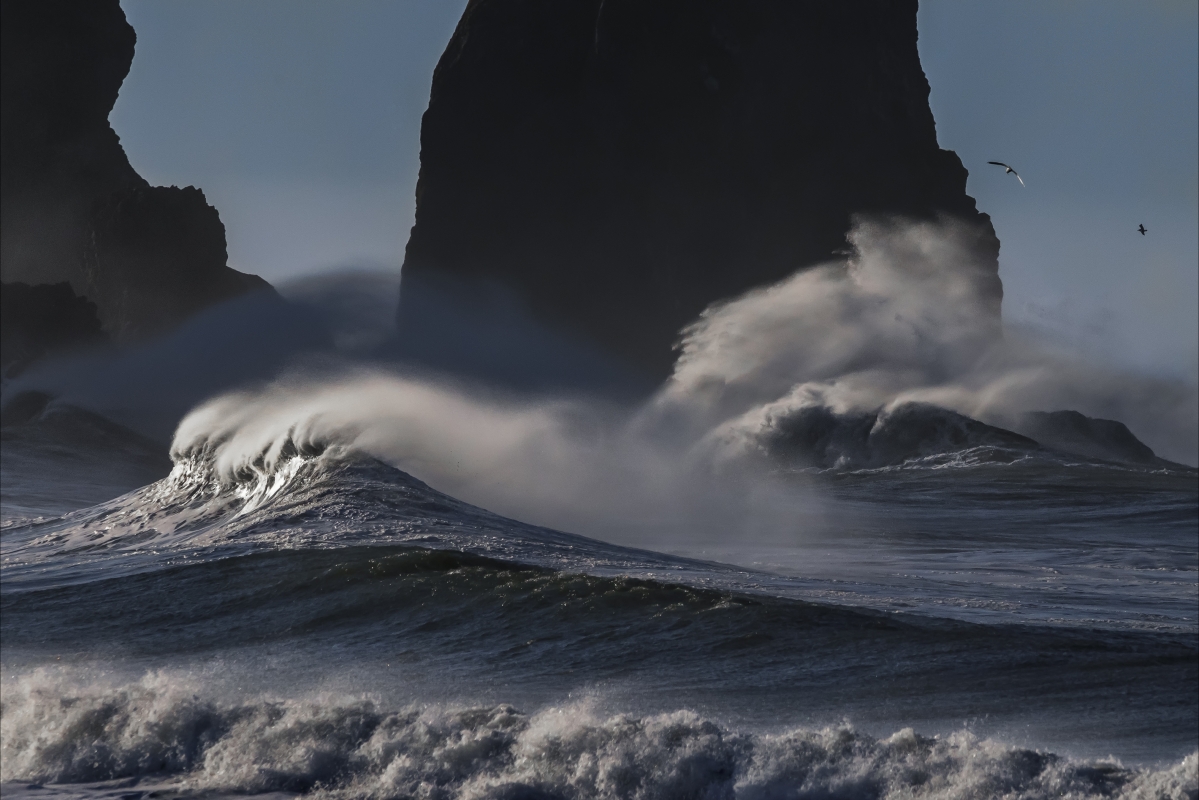 Pacific Coast Ocean Wave Wind