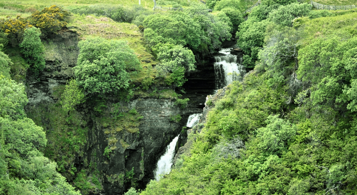 Scottish waterfall stream shrubs