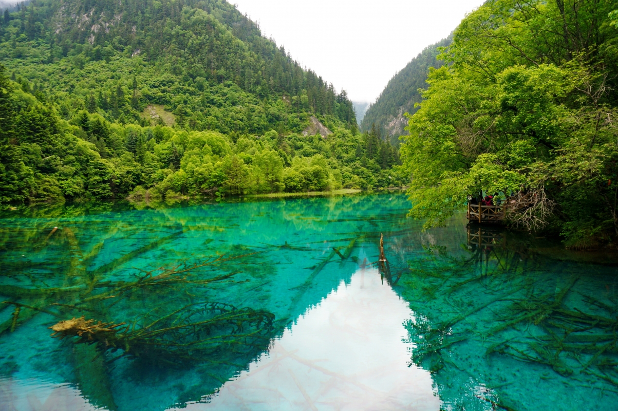 Natural scenery of the lake in Jiuzhaigou, Sichuan