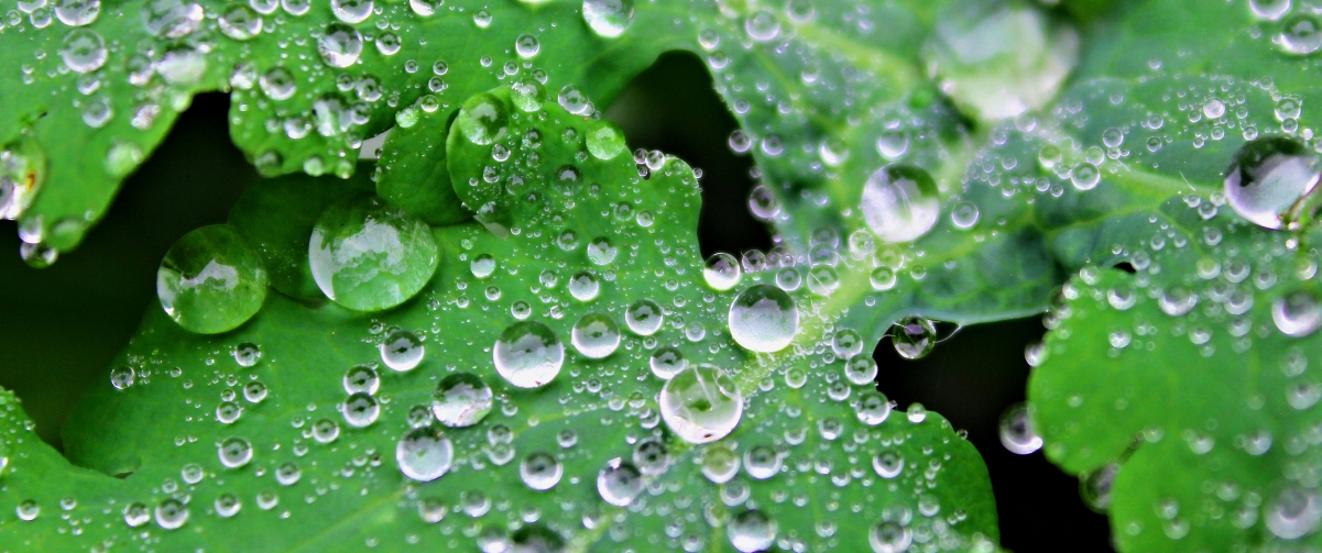 Water drops 3440x1440 with fish screen wallpaper