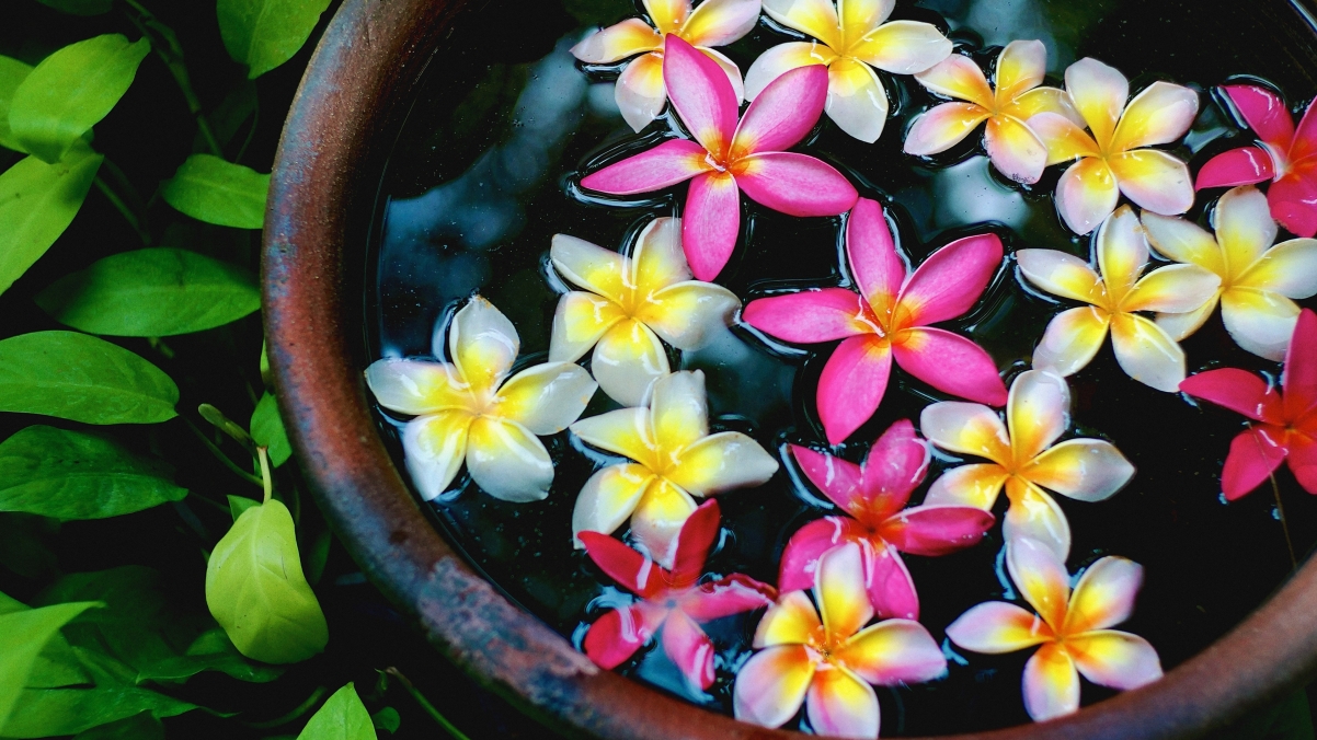 Water jar with pink and white eggs