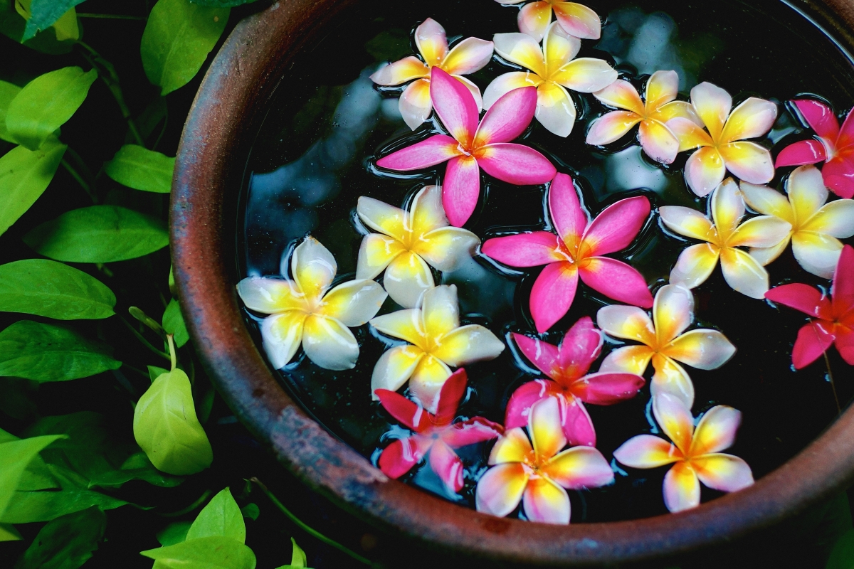 Water tank, water, flower, petals picture