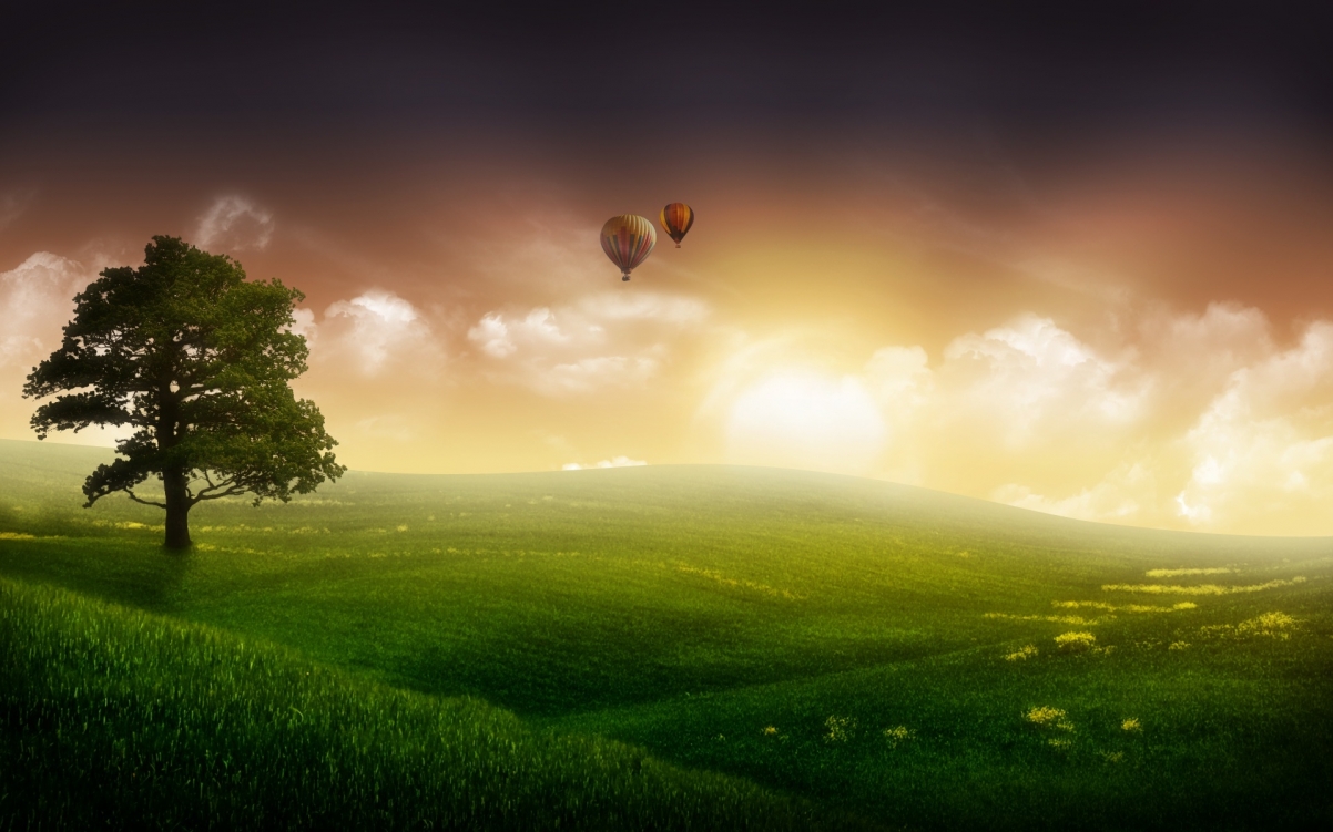 Trees, fog, balloons in the sky, grass,