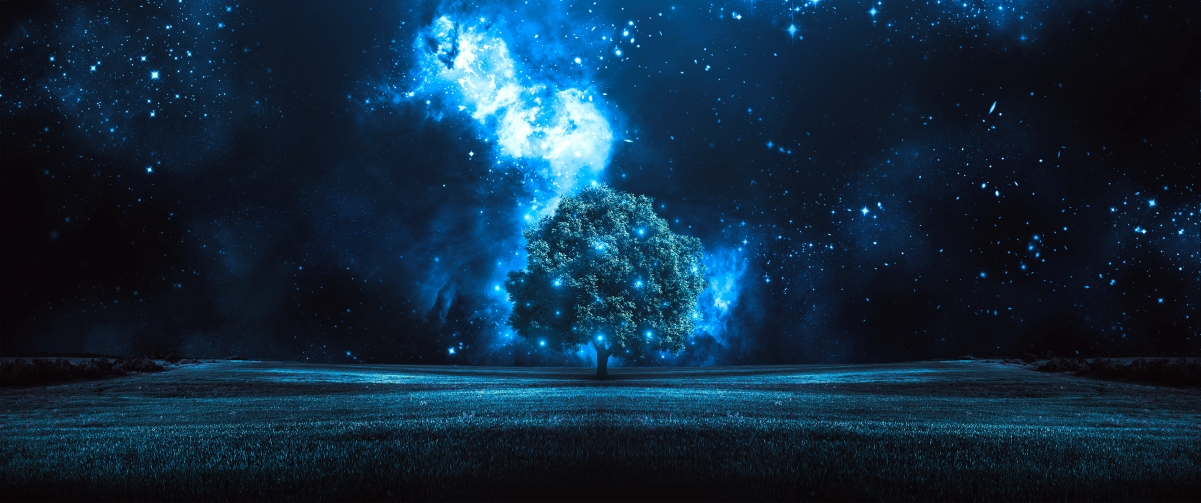 Tree starry night 3440x1440 landscape wall