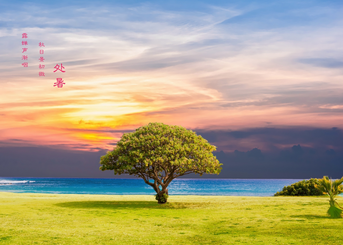 Tree sea grass ocean landscape at summer
