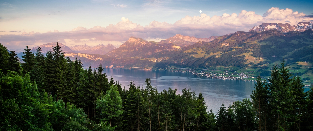 Landscape forest scenery 3440x1440 wall