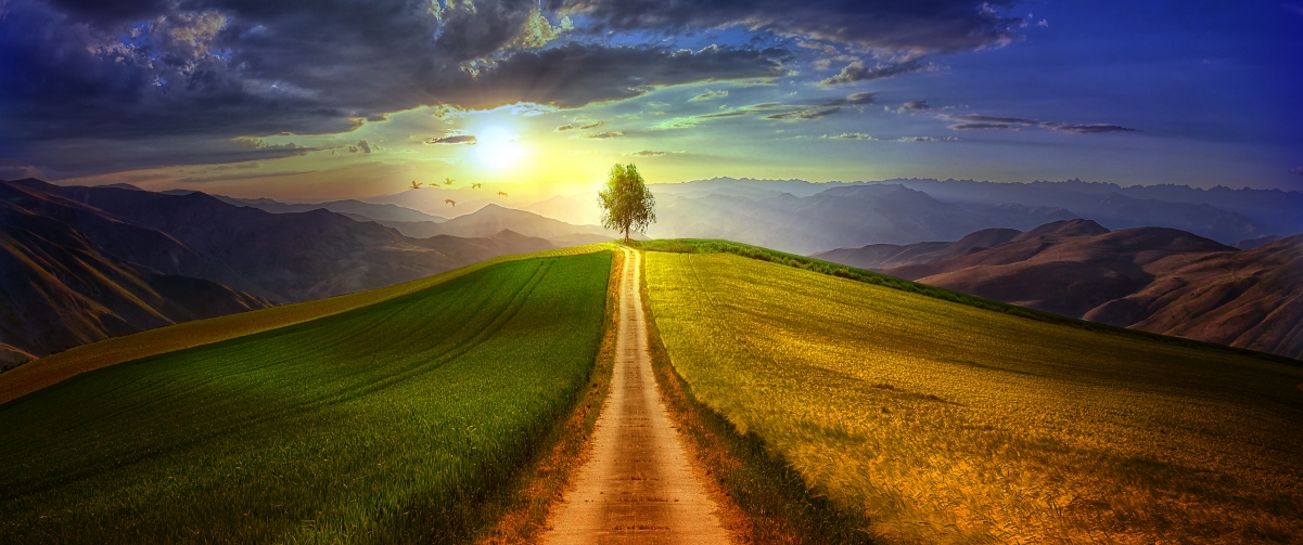 The tree road on the mountain and the beautiful sky 3