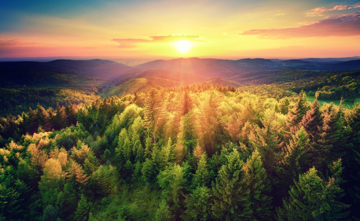 Mountain forest sunset landscape picture material