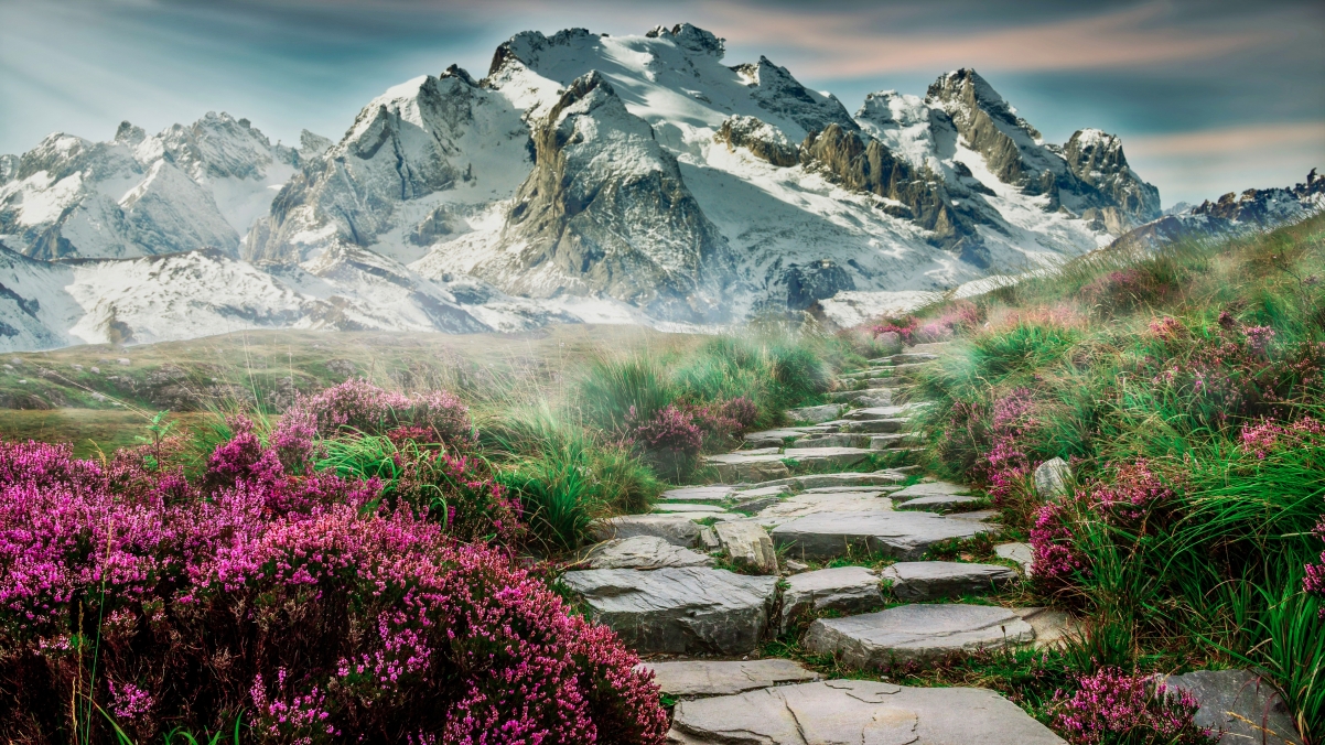Mountain road steps flowers and grass
