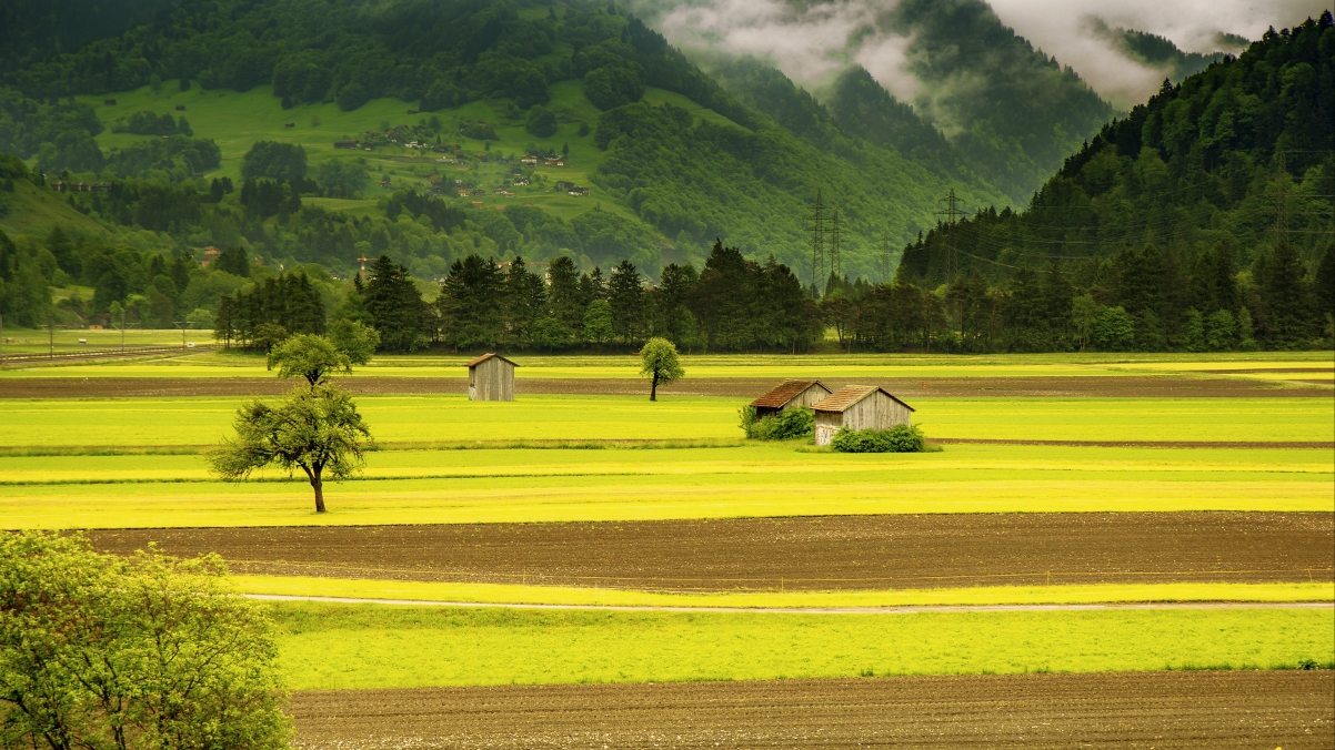 A view of the vast farm at the foot of the mountain