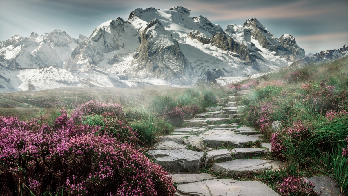 Mountain peaks alpine flowers 4k landscape pictures