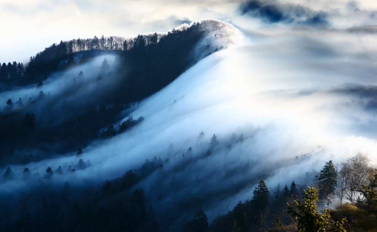Mountain top fog scenery picture