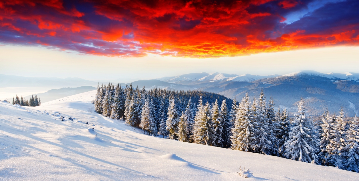 Mountain snow woods winter dawn glow