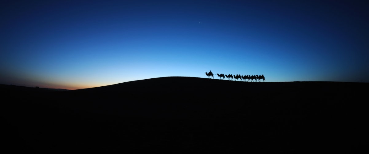 Desert Dawn Camel Caravan 3440x1